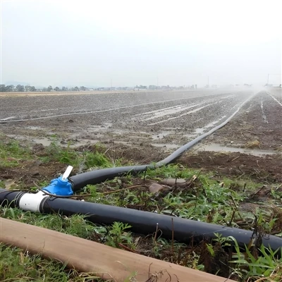 HDPE Rolne Rury irygacyjne: Dlaczego zyskują popularność?